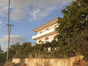 Villa Balliu